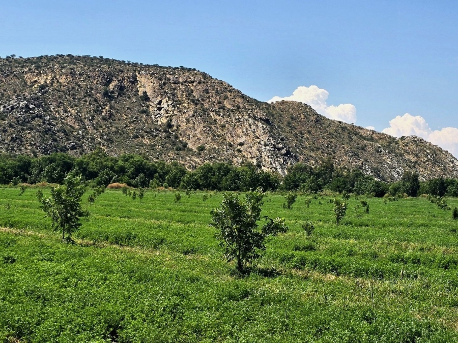 Commercial Property for Sale in Groblershoop Northern Cape